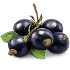Bacche di aronia